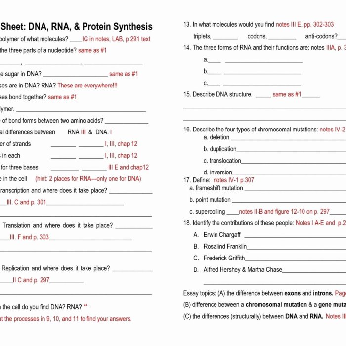 Dna synthesis rna replication biology db